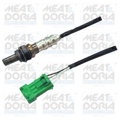 Oxygen Sensor